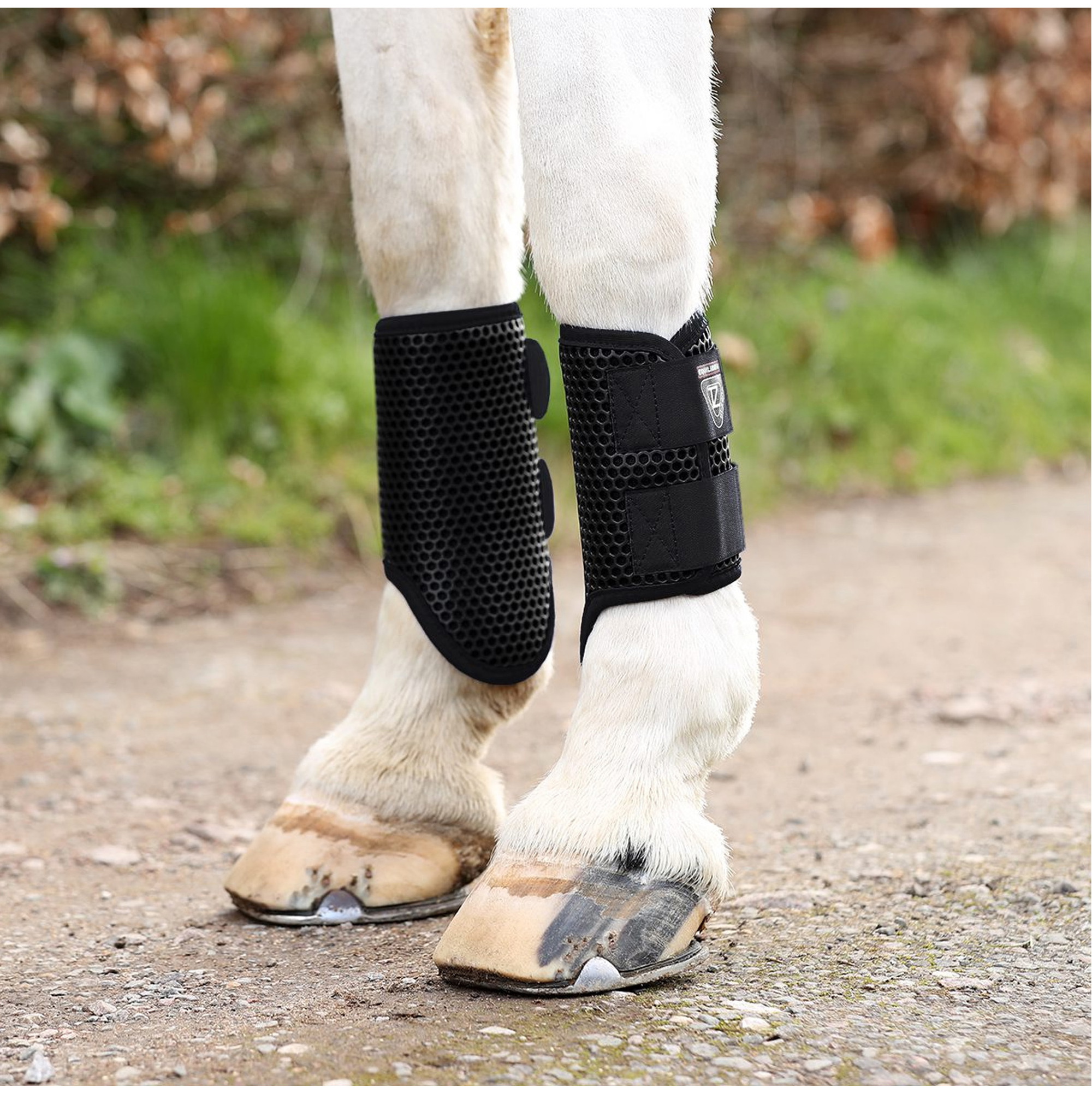 Equilibrium Tri-Zone Bürstenstiefel 8546 - Schwarz